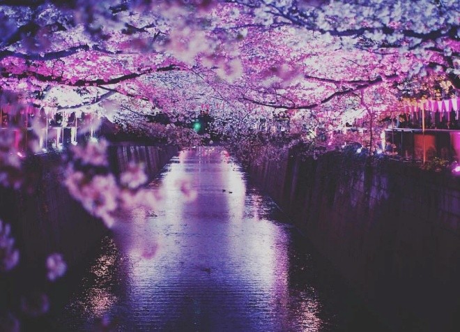 202610写真 (4)